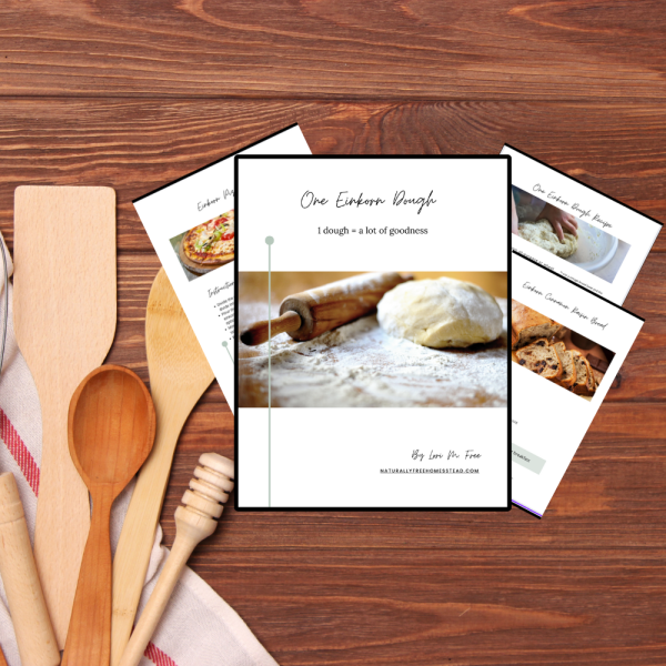 One Einkorn Dough - Image 2