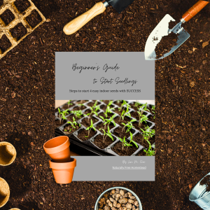 Beginner's Guide to Start Seedlings