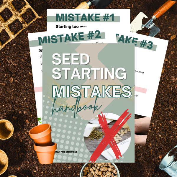 Seed Starting Mistakes