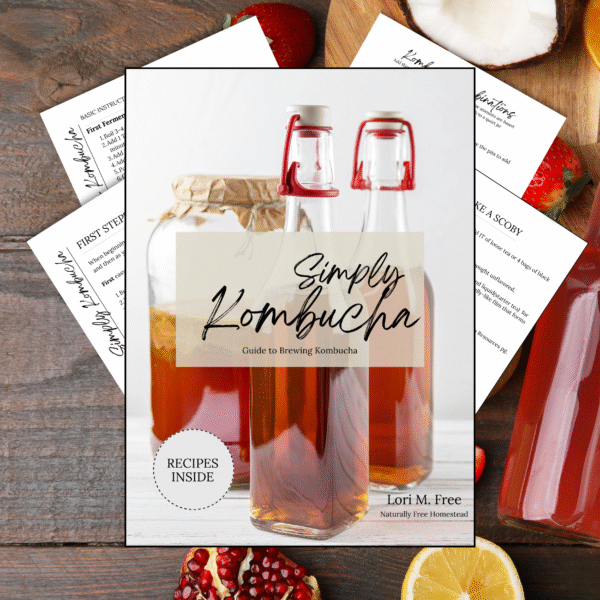 Homestead Resource Bundle - Image 2