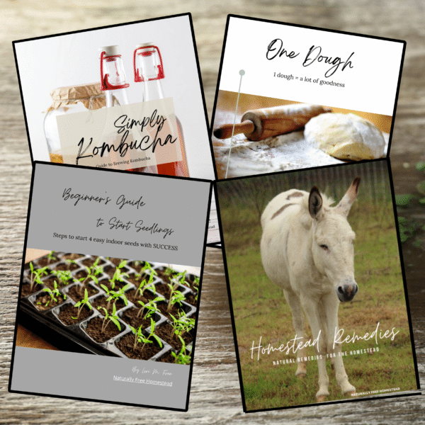 Homestead Resource Bundle